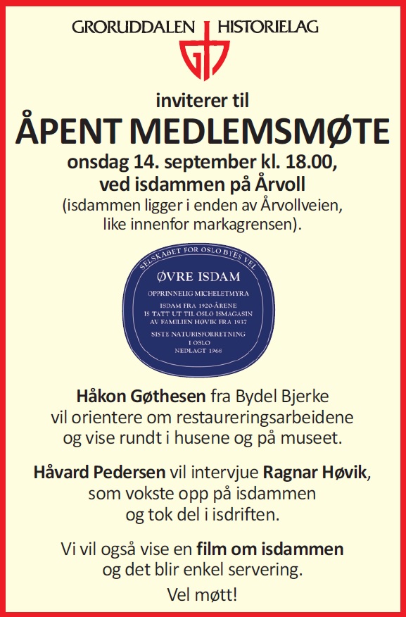 Annonse isdammen
